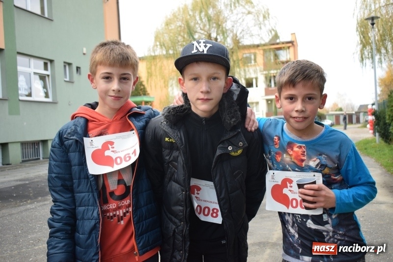 Zdjęcie w galerii na portalu naszraciborz.pl: Świąteczne bieganie w Kuźni, czyli Bieg Niepodległości wiadomości z regionu
