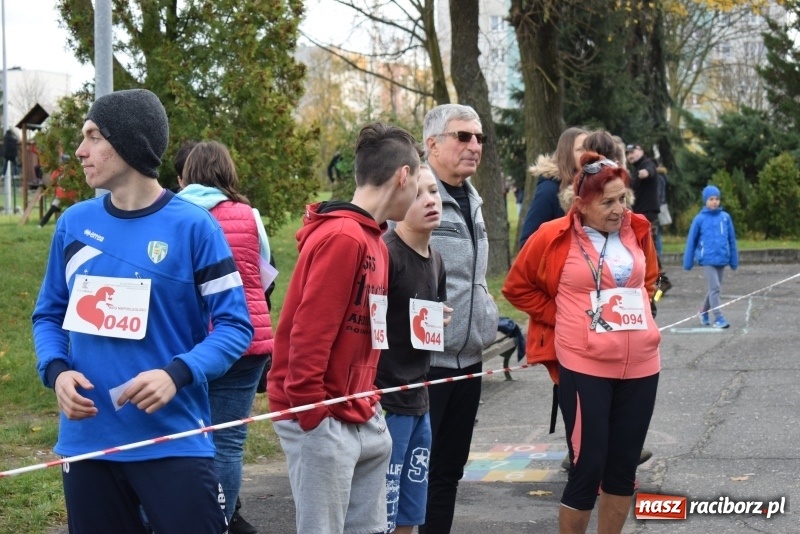 Zdjęcie w galerii na portalu naszraciborz.pl: Świąteczne bieganie w Kuźni, czyli Bieg Niepodległości wiadomości z regionu