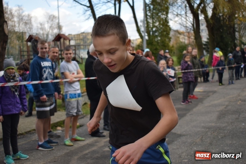Zdjęcie w galerii na portalu naszraciborz.pl: Świąteczne bieganie w Kuźni, czyli Bieg Niepodległości wiadomości z regionu