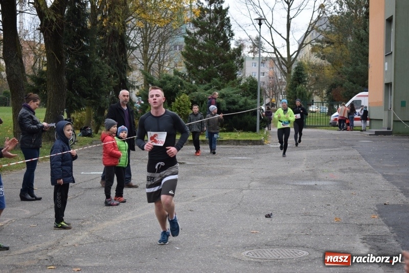 Zdjęcie w galerii na portalu naszraciborz.pl: Świąteczne bieganie w Kuźni, czyli Bieg Niepodległości wiadomości z regionu