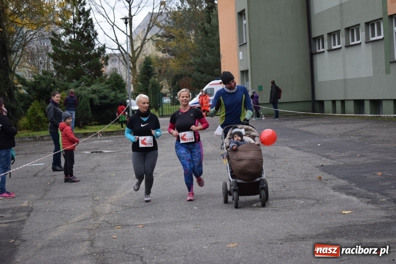 Zdjęcie w galerii na portalu naszraciborz.pl: Świąteczne bieganie w Kuźni, czyli Bieg Niepodległości wiadomości z regionu