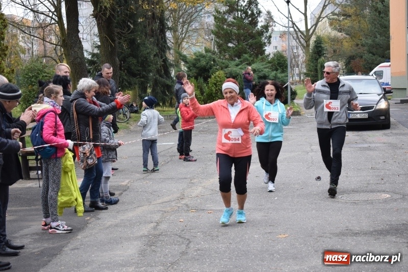 Zdjęcie w galerii na portalu naszraciborz.pl: Świąteczne bieganie w Kuźni, czyli Bieg Niepodległości wiadomości z regionu