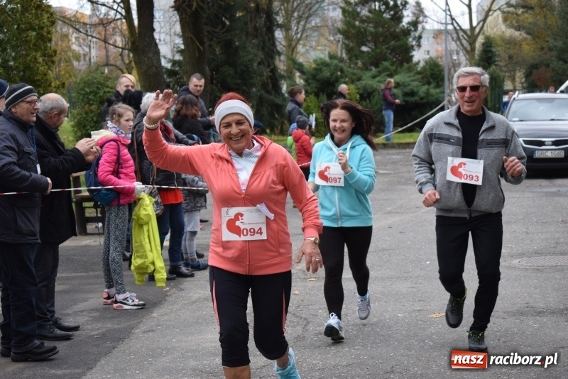 Zdjęcie w galerii na portalu naszraciborz.pl: Świąteczne bieganie w Kuźni, czyli Bieg Niepodległości wiadomości z regionu