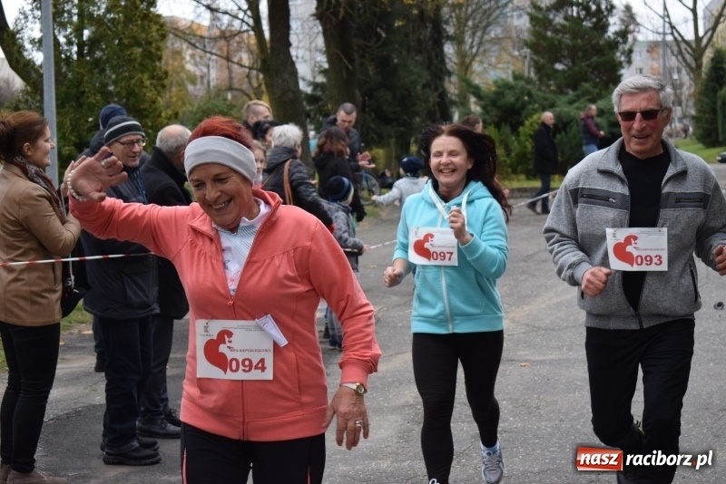 Zdjęcie w galerii na portalu naszraciborz.pl: Świąteczne bieganie w Kuźni, czyli Bieg Niepodległości wiadomości z regionu