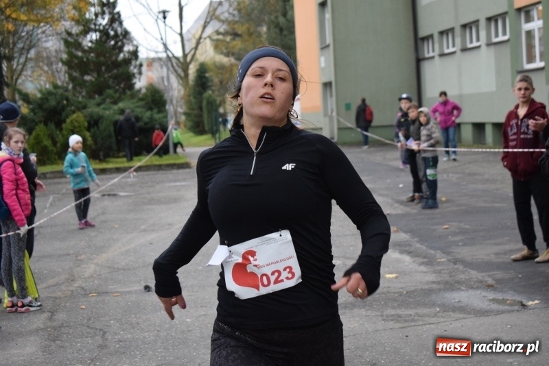 Zdjęcie w galerii na portalu naszraciborz.pl: Świąteczne bieganie w Kuźni, czyli Bieg Niepodległości wiadomości z regionu