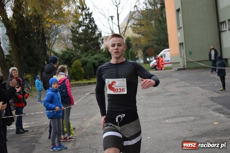 Zdjęcie w galerii na portalu naszraciborz.pl: Świąteczne bieganie w Kuźni, czyli Bieg Niepodległości wiadomości z regionu