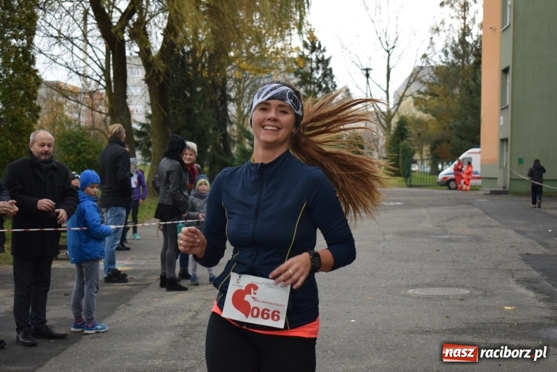 Zdjęcie w galerii na portalu naszraciborz.pl: Świąteczne bieganie w Kuźni, czyli Bieg Niepodległości wiadomości z regionu