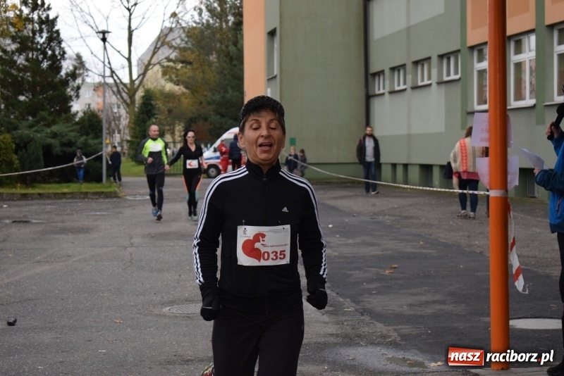 Zdjęcie w galerii na portalu naszraciborz.pl: Świąteczne bieganie w Kuźni, czyli Bieg Niepodległości wiadomości z regionu