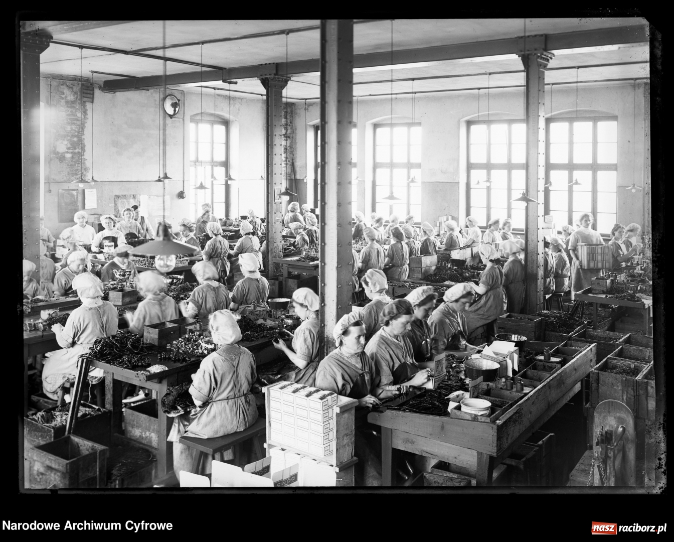 Zdjęcie w galerii na portalu naszraciborz.pl: Raciborskie imperium tytoniowe Domsów na starej fotografii  wiadomości z regionu