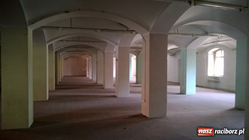 Zdjęcie w galerii na portalu naszraciborz.pl: Raciborskie imperium tytoniowe Domsów na starej fotografii  wiadomości z regionu