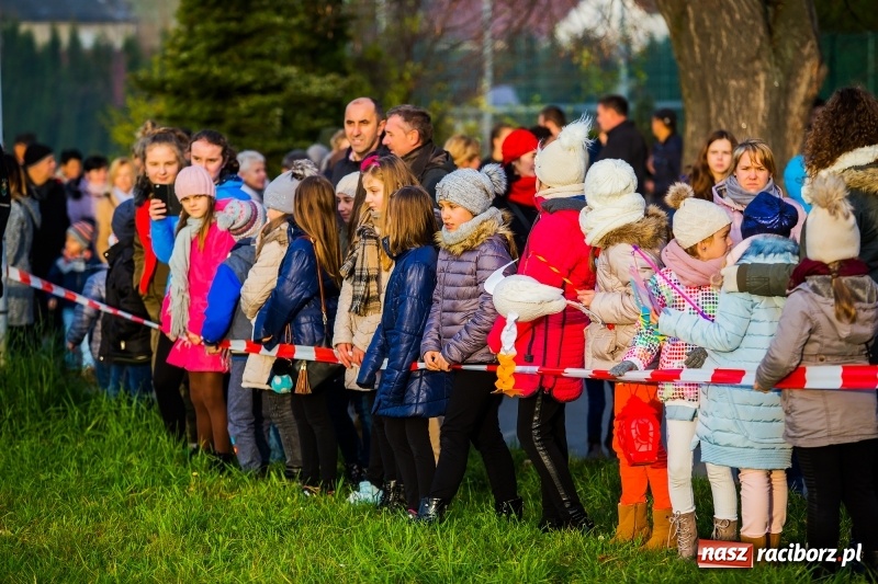 Zdjęcie w galerii na portalu naszraciborz.pl: Obchody Świętego Marcina w Samborowicach wiadomości z regionu