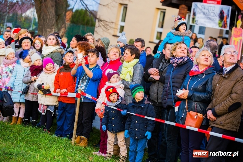 Zdjęcie w galerii na portalu naszraciborz.pl: Obchody Świętego Marcina w Samborowicach wiadomości z regionu
