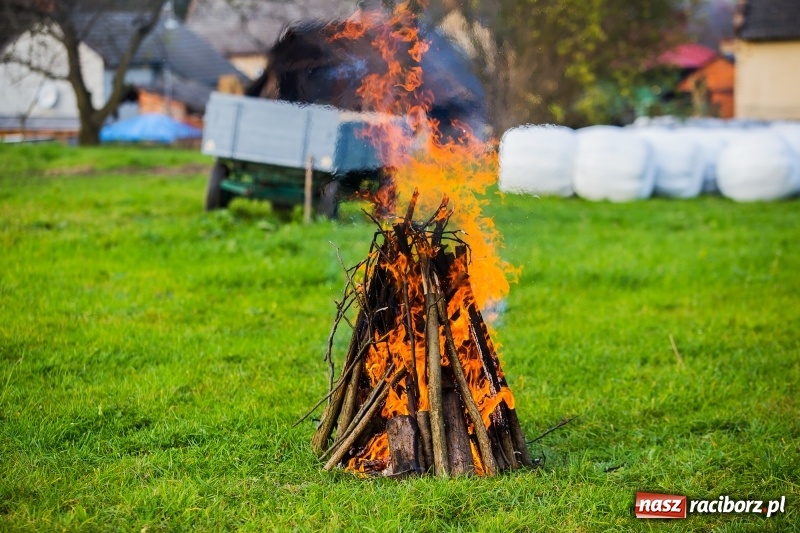 Zdjęcie w galerii na portalu naszraciborz.pl: Obchody Świętego Marcina w Samborowicach wiadomości z regionu