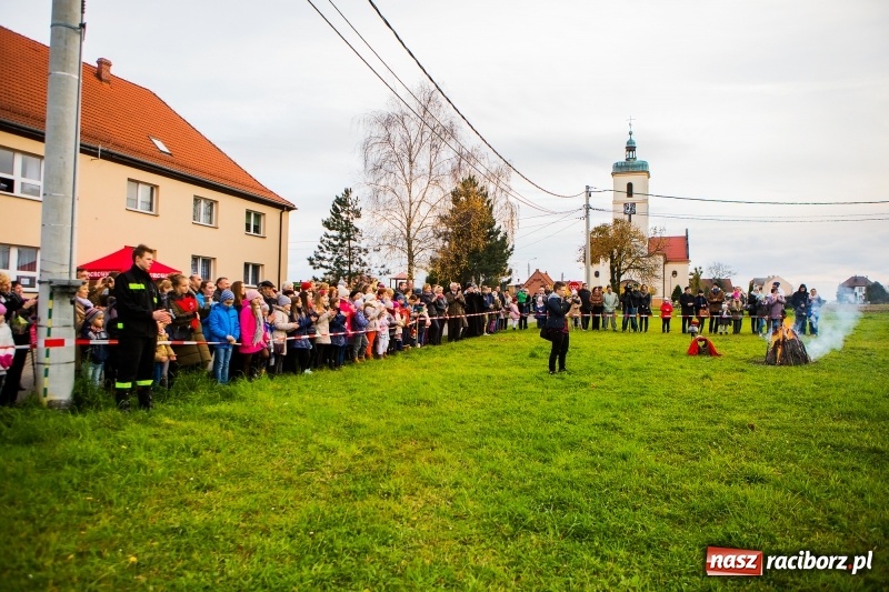 Zdjęcie w galerii na portalu naszraciborz.pl: Obchody Świętego Marcina w Samborowicach wiadomości z regionu