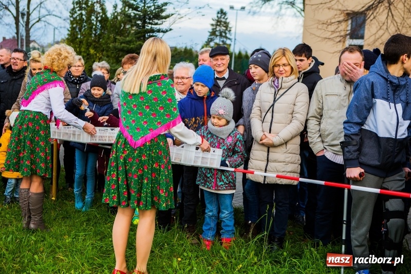 Zdjęcie w galerii na portalu naszraciborz.pl: Obchody Świętego Marcina w Samborowicach wiadomości z regionu