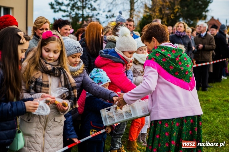 Zdjęcie w galerii na portalu naszraciborz.pl: Obchody Świętego Marcina w Samborowicach wiadomości z regionu