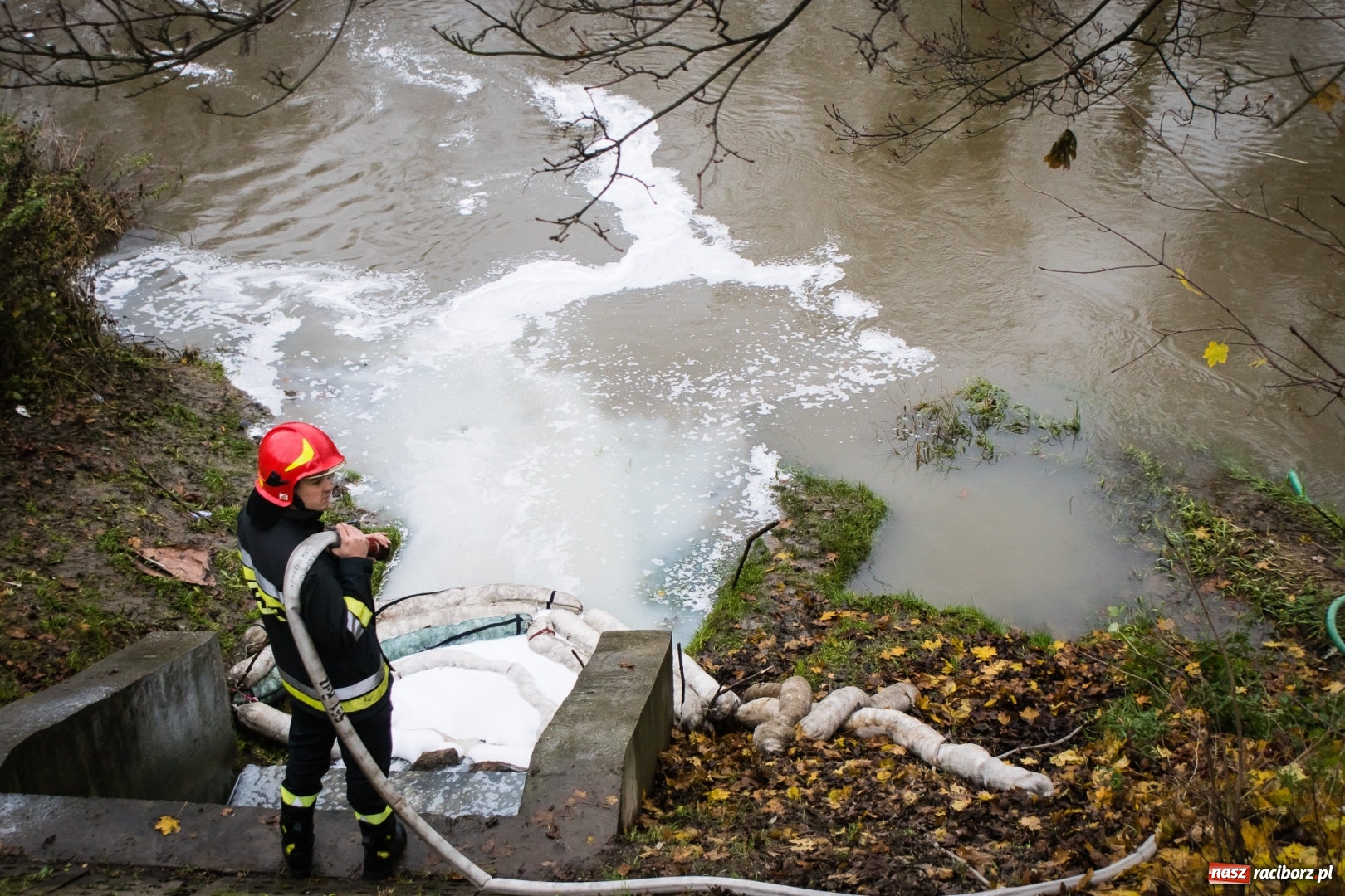 Zdjęcie w galerii na portalu naszraciborz.pl: Biała substancja w Odrze. Pochodziła z pobliskiej fabryki wiadomości z regionu