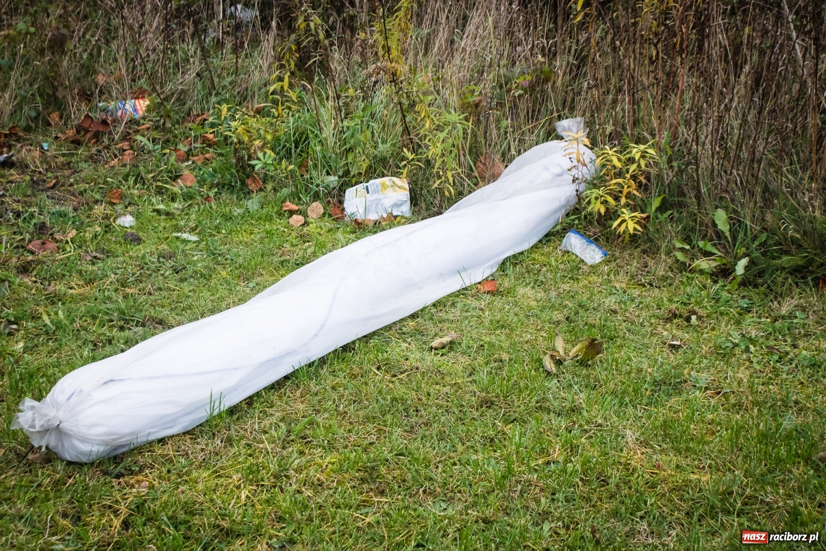 Zdjęcie w galerii na portalu naszraciborz.pl: Biała substancja w Odrze. Pochodziła z pobliskiej fabryki wiadomości z regionu