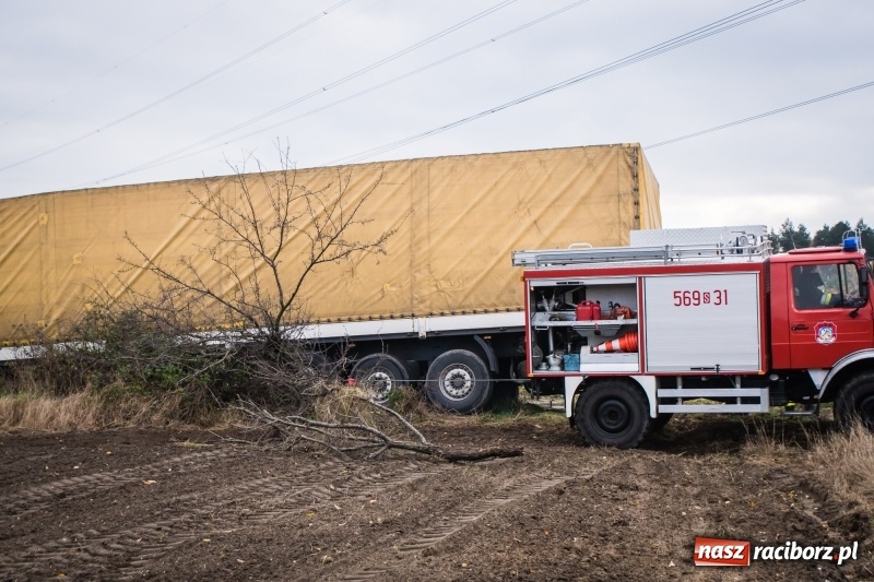 Zdjęcie w galerii na portalu naszraciborz.pl: Samochód ciężarowy utknął na polu wiadomości z regionu