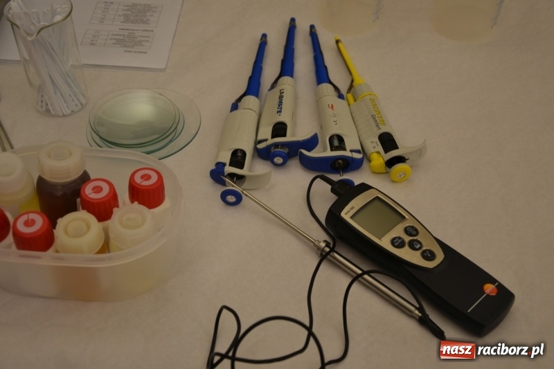 Zdjęcie w galerii na portalu naszraciborz.pl: Mieszko inspiruje. Światowy Tydzień Przedsiębiorczości na zamku  wiadomości z regionu