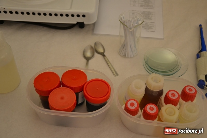 Zdjęcie w galerii na portalu naszraciborz.pl: Mieszko inspiruje. Światowy Tydzień Przedsiębiorczości na zamku  wiadomości z regionu