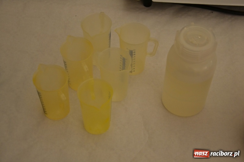 Zdjęcie w galerii na portalu naszraciborz.pl: Mieszko inspiruje. Światowy Tydzień Przedsiębiorczości na zamku  wiadomości z regionu