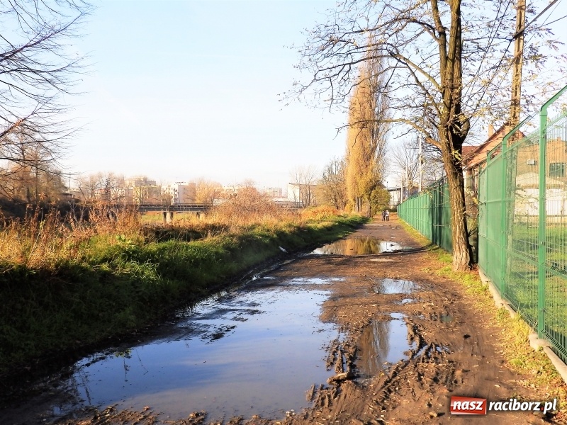 Zdjęcie w galerii na portalu naszraciborz.pl: List do redakcji. Rowerem przez... błoto wiadomości z regionu