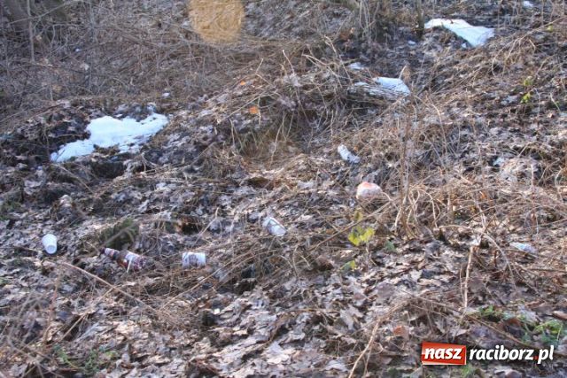 Zdjęcie w galerii na portalu naszraciborz.pl: Generalne porządki po zimie wiadomości z regionu