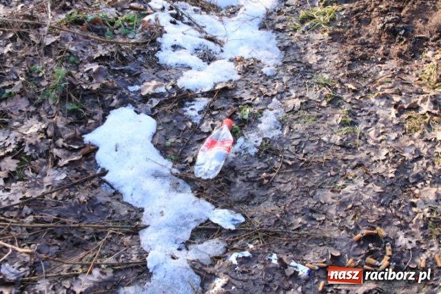 Zdjęcie w galerii na portalu naszraciborz.pl: Generalne porządki po zimie wiadomości z regionu