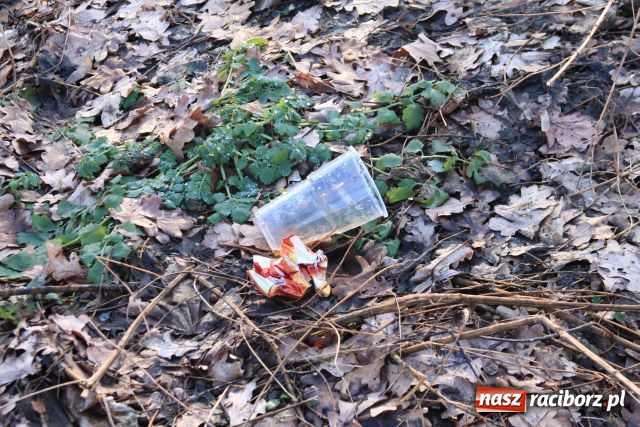 Zdjęcie w galerii na portalu naszraciborz.pl: Generalne porządki po zimie wiadomości z regionu