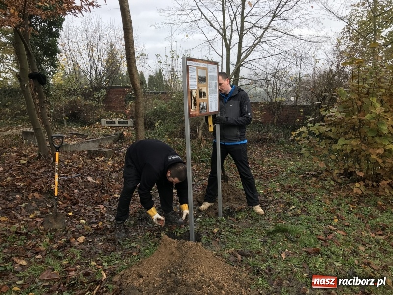 Zdjęcie w galerii na portalu naszraciborz.pl: Miasto i młodzież z poprawczaka wsparło Stowarzyszenie Odra 1945  wiadomości z regionu