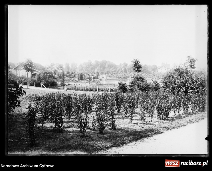 Zdjęcie w galerii na portalu naszraciborz.pl: Okolice starego szpitala na archiwalnej fotografii wiadomości z regionu