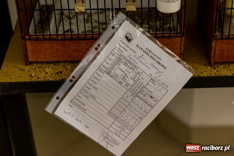 Zdjęcie w galerii na portalu naszraciborz.pl: Ornitologiczne mistrzostwa ziemi raciborskiej w dawnym Labiryncie  wiadomości z regionu