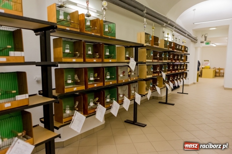 Zdjęcie w galerii na portalu naszraciborz.pl: Ornitologiczne mistrzostwa ziemi raciborskiej w dawnym Labiryncie  wiadomości z regionu