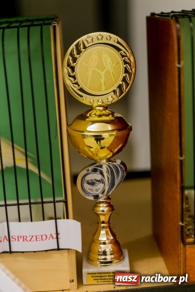 Zdjęcie w galerii na portalu naszraciborz.pl: Ornitologiczne mistrzostwa ziemi raciborskiej w dawnym Labiryncie  wiadomości z regionu