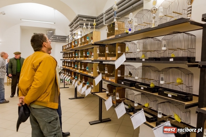 Zdjęcie w galerii na portalu naszraciborz.pl: Ornitologiczne mistrzostwa ziemi raciborskiej w dawnym Labiryncie  wiadomości z regionu