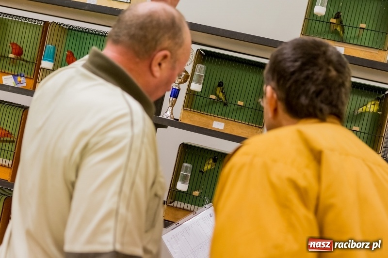 Zdjęcie w galerii na portalu naszraciborz.pl: Ornitologiczne mistrzostwa ziemi raciborskiej w dawnym Labiryncie  wiadomości z regionu