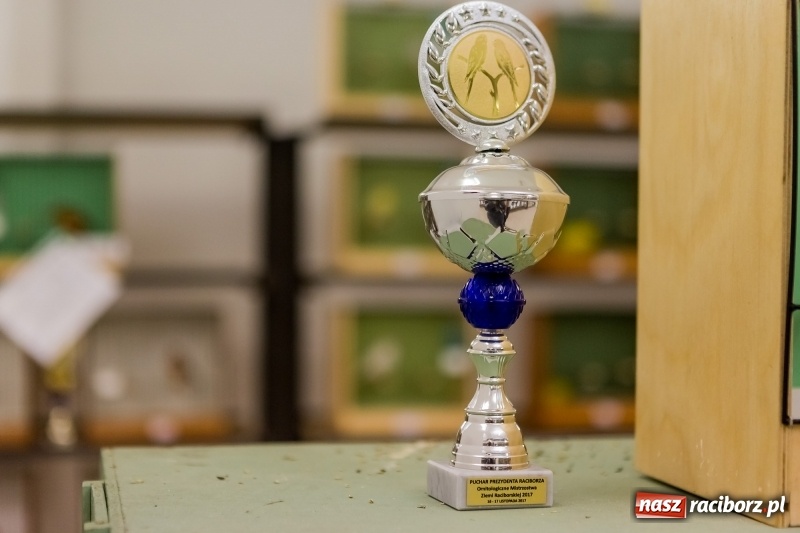 Zdjęcie w galerii na portalu naszraciborz.pl: Ornitologiczne mistrzostwa ziemi raciborskiej w dawnym Labiryncie  wiadomości z regionu