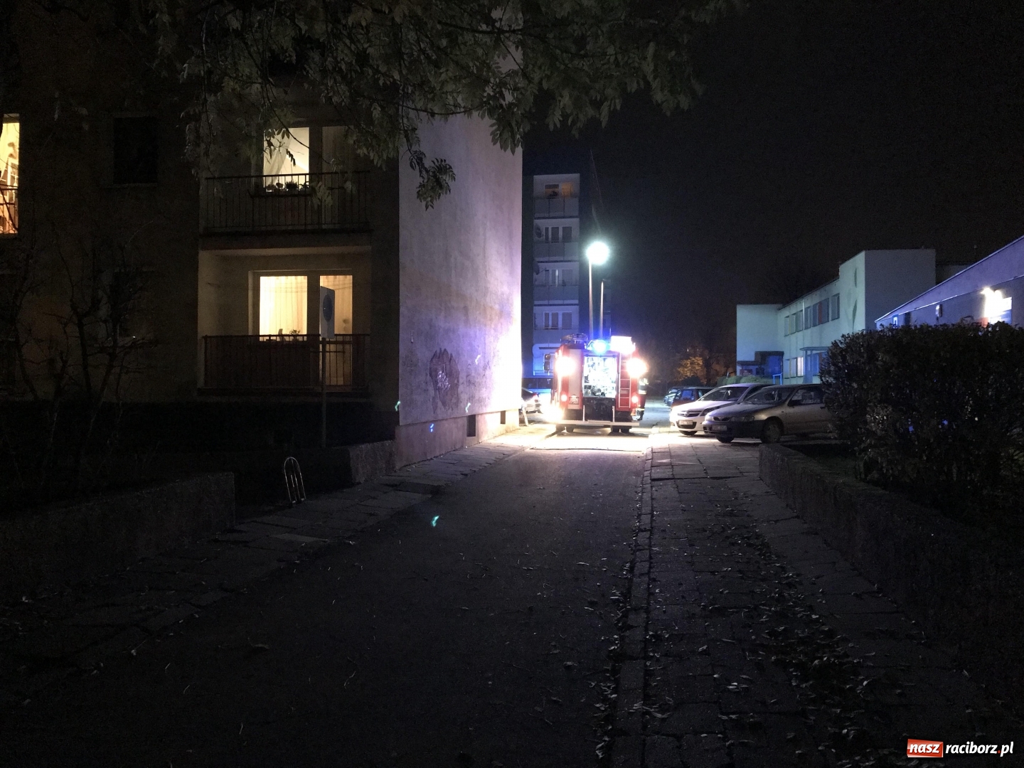 Zdjęcie w galerii na portalu naszraciborz.pl: Pożar fiata na Kasprowicza w Raciborzu. To mogło być podpalenie! wiadomości z regionu