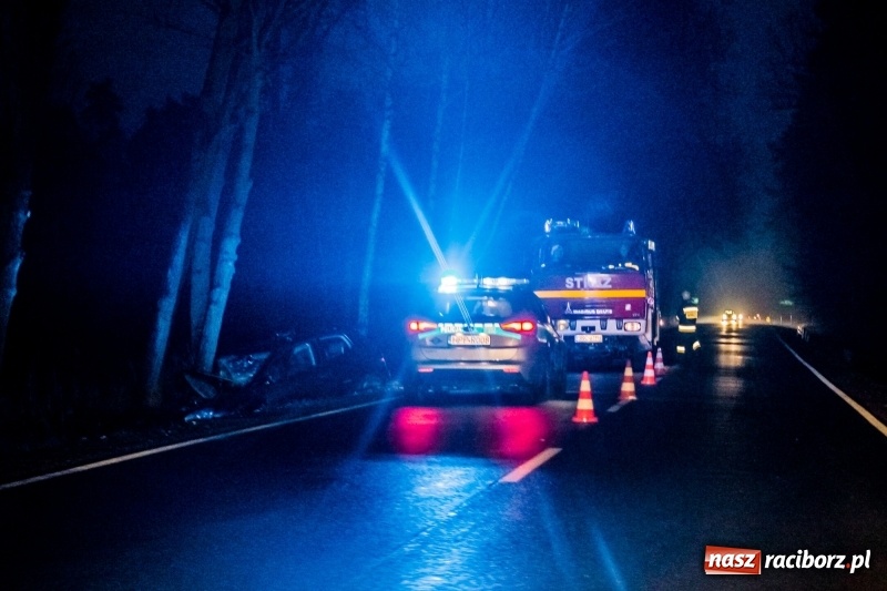 Zdjęcie w galerii na portalu naszraciborz.pl: Volkswagen wypadł z drogi i wylądował na drzewie. 26-latek zasnął za kierownicą wiadomości z regionu