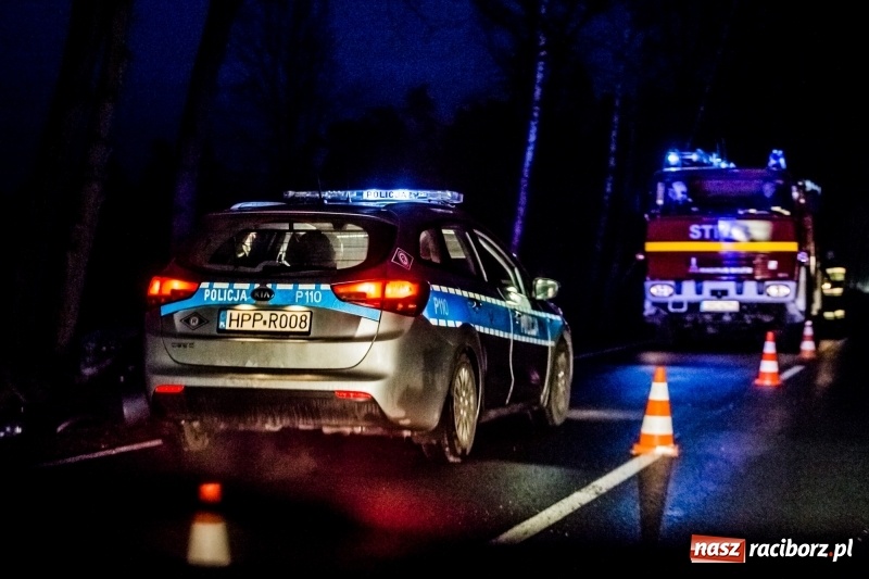 Zdjęcie w galerii na portalu naszraciborz.pl: Volkswagen wypadł z drogi i wylądował na drzewie. 26-latek zasnął za kierownicą wiadomości z regionu