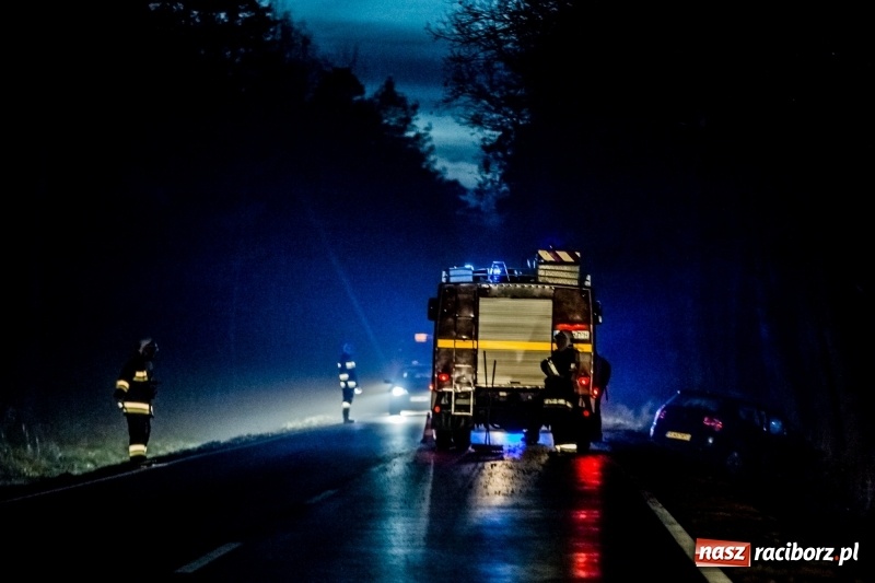 Zdjęcie w galerii na portalu naszraciborz.pl: Volkswagen wypadł z drogi i wylądował na drzewie. 26-latek zasnął za kierownicą wiadomości z regionu