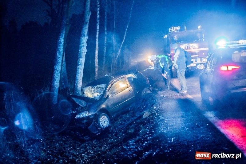 Zdjęcie w galerii na portalu naszraciborz.pl: Volkswagen wypadł z drogi i wylądował na drzewie. 26-latek zasnął za kierownicą wiadomości z regionu