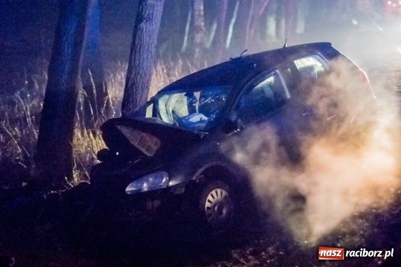 Zdjęcie w galerii na portalu naszraciborz.pl: Volkswagen wypadł z drogi i wylądował na drzewie. 26-latek zasnął za kierownicą wiadomości z regionu