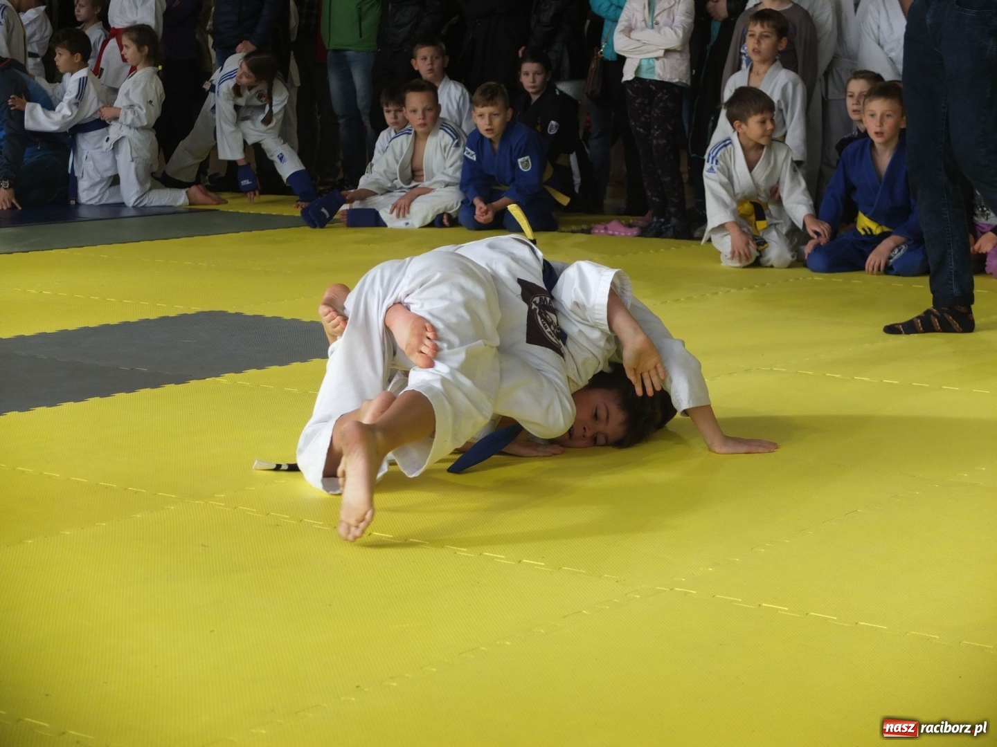 Zdjęcie w galerii na portalu naszraciborz.pl: Sukcesy Łamatorów na zawodach w Kuźni Raciborskiej wiadomości z regionu