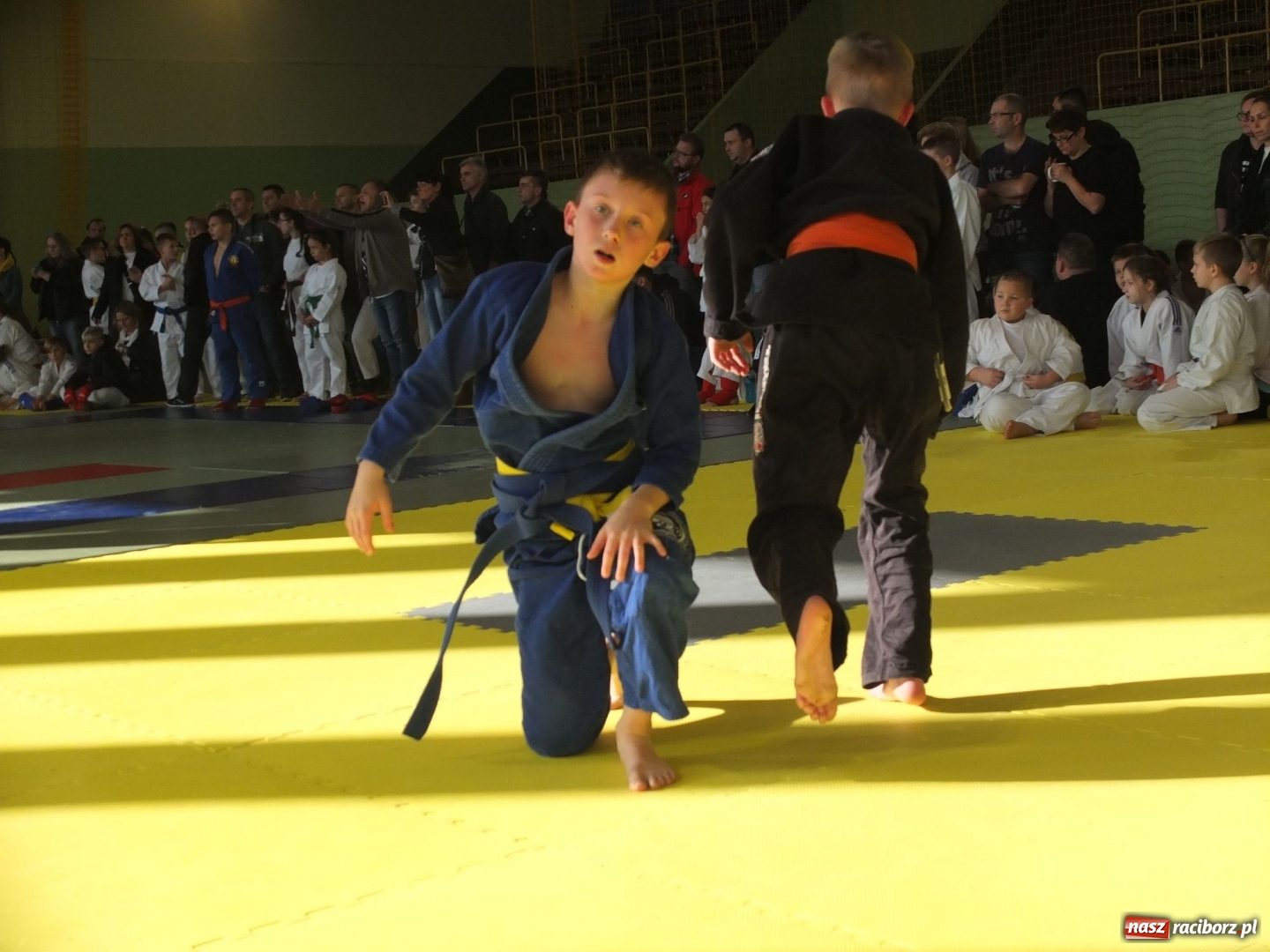 Zdjęcie w galerii na portalu naszraciborz.pl: Sukcesy Łamatorów na zawodach w Kuźni Raciborskiej wiadomości z regionu