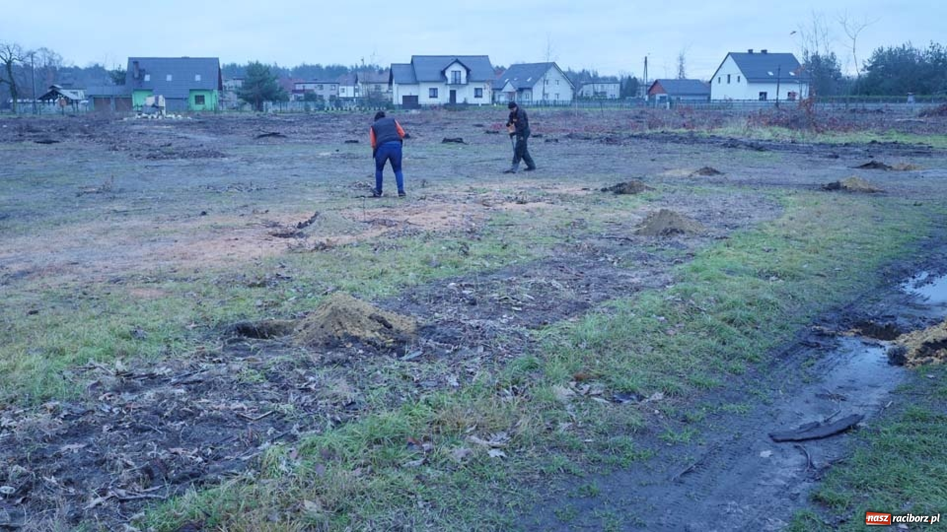 Zdjęcie w galerii na portalu naszraciborz.pl: Nasadzenie drzew w Parku Dębina wiadomości z regionu