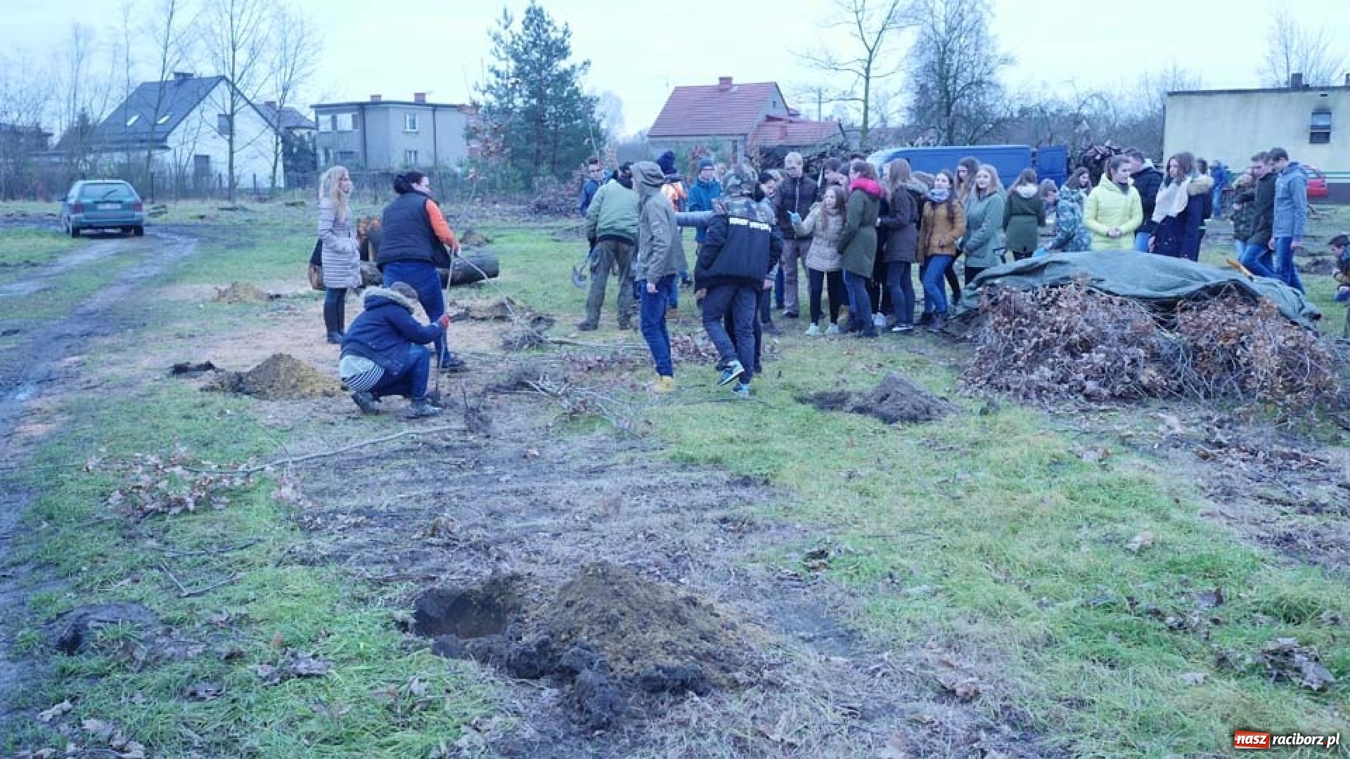 Zdjęcie w galerii na portalu naszraciborz.pl: Nasadzenie drzew w Parku Dębina wiadomości z regionu