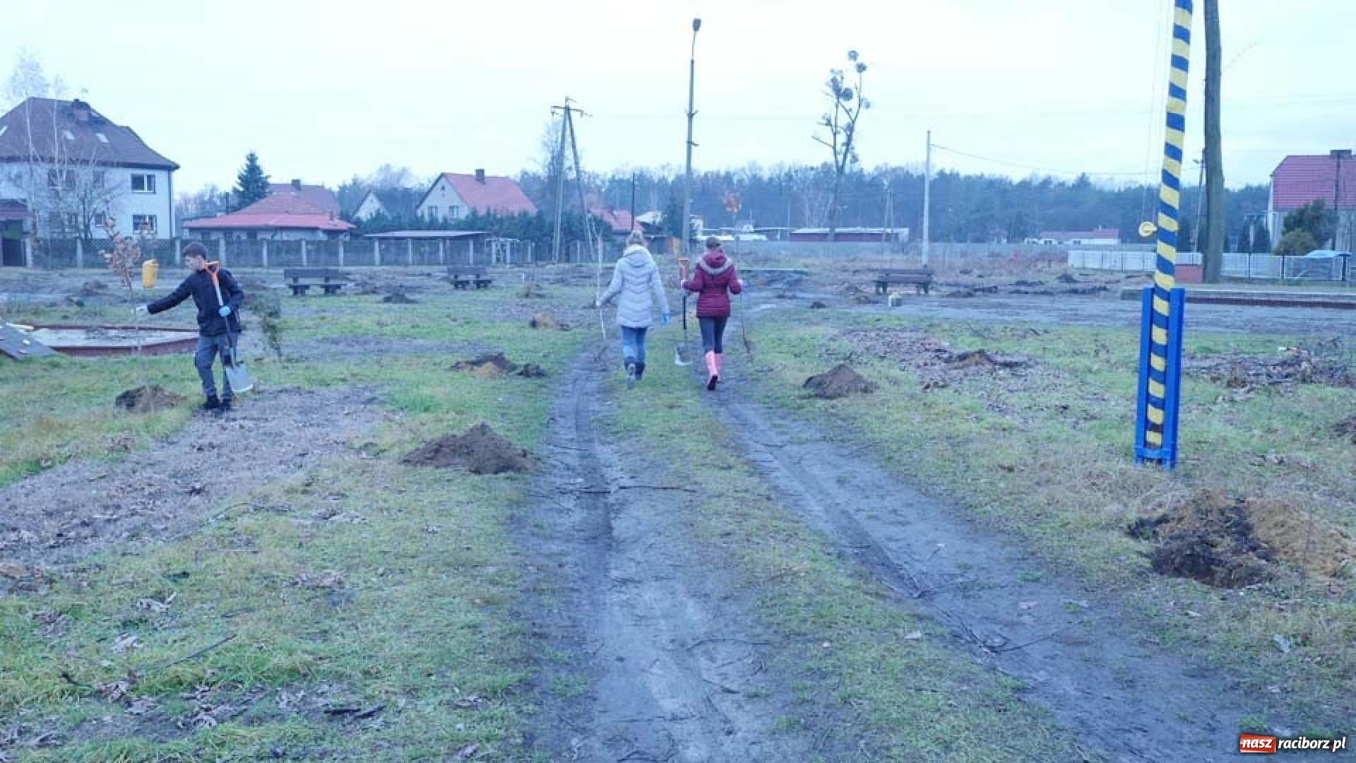 Zdjęcie w galerii na portalu naszraciborz.pl: Nasadzenie drzew w Parku Dębina wiadomości z regionu