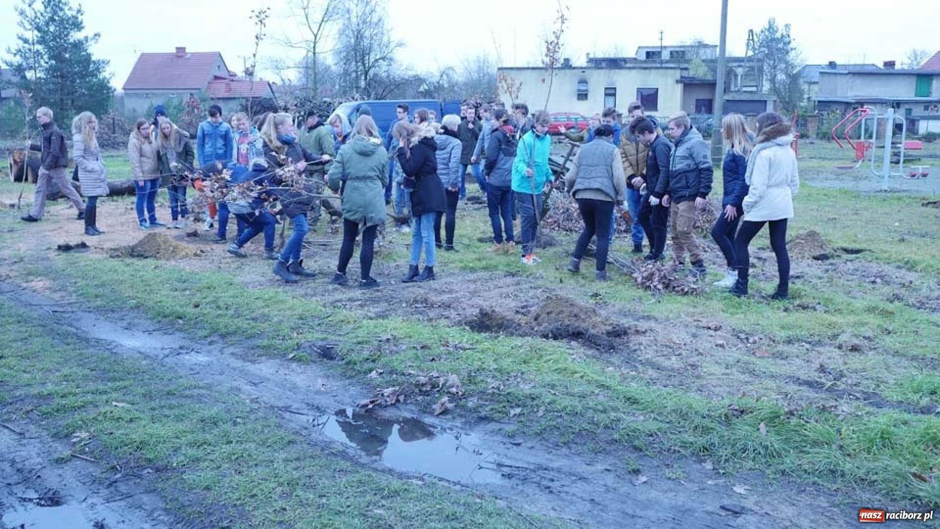Zdjęcie w galerii na portalu naszraciborz.pl: Nasadzenie drzew w Parku Dębina wiadomości z regionu